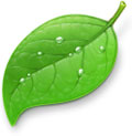 Coda